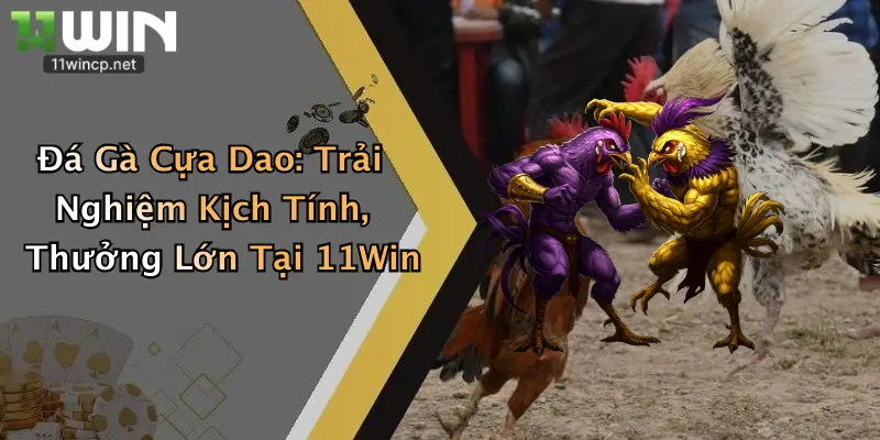 Đá Gà Cựa Dao: Trải Nghiệm Kịch Tính, Thưởng Lớn Tại 11Win