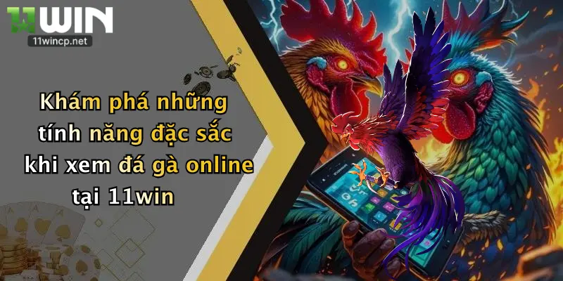 Khám phá những tính năng đặc sắc khi xem đá gà online tại 11win