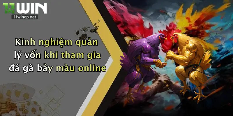 Kinh nghiệm quản lý vốn khi tham gia đá gà bảy màu online